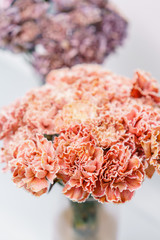 Bouquet of carnation flowers coral and peach color. Spring background. Clove bunch present for Mothers Day.