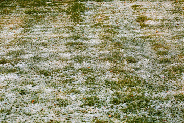 Close up view of frosty grass. Beautiful nature background / texture. Winter concept.