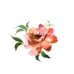 Watercolor flower. Orange beautiful hand drawn rose. Design for 