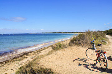 Fototapeta premium Vélo en bord de mer