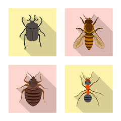 Vector design of insect and fly symbol. Collection of insect and element stock symbol for web.