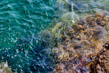 Rocky Coast. Adriatic Sea