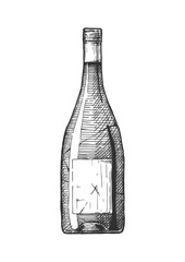 illustration of Wine bottle.