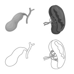 Vector design of body and human logo. Collection of body and medical stock vector illustration.