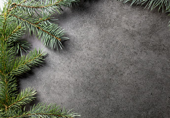 Pine tree branches on dark texture surface. Top view. Christmas background.