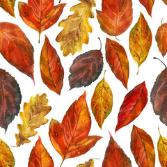 Watercolor illustration, pattern. Autumn leaves on a white background.