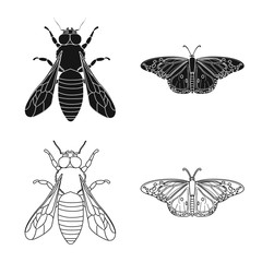 Vector design of insect and fly sign. Set of insect and element stock vector illustration.