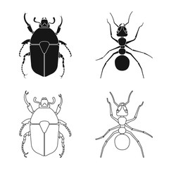 Vector design of insect and fly symbol. Collection of insect and element vector icon for stock.