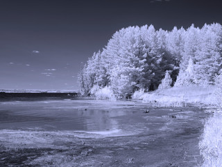 Infra red photo. Another vision. Russia, Ural, Perm Region