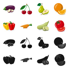 Vector illustration of vegetable and fruit icon. Set of vegetable and vegetarian stock symbol for web.