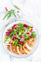 Grilled chicken breast, fillet and fresh vegetable leafy salad with arugula and pomegranate on plate