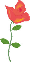 Rose with thorns