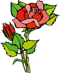 Rose flower