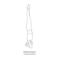 Supported Headstand (Salamba Sirsasana). Vector.