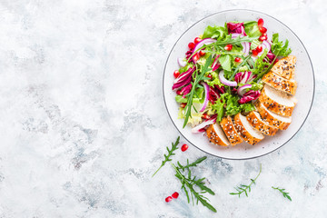 Grilled chicken breast, fillet and fresh vegetable leafy salad with arugula and pomegranate on plate