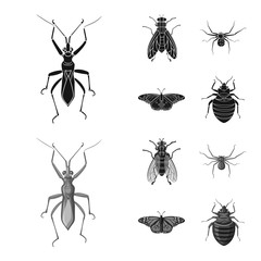 Isolated object of insect and fly logo. Collection of insect and element vector icon for stock.