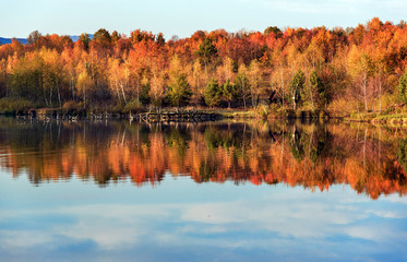 Autumn landscape with lake in the forest. Autumn forest.