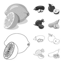 Isolated object of vegetable and fruit sign. Set of vegetable and vegetarian vector icon for stock.