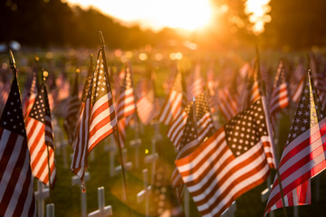 Field of American flags at Sunset - obrazy, fototapety, plakaty