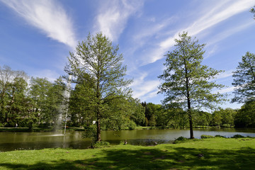 Fototapeta na wymiar Ruhiger See im Sommer bei Sonnenschein, Calm lake in the summer with sunshine