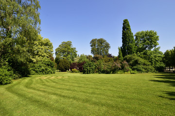 Fototapeta na wymiar Parklandschaft mit Baeumen, Büschen und blauem Himmel, Park landscape with trees, bushes and blue sky