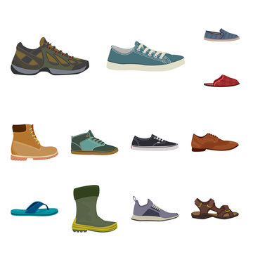 Isolated object of shoe and footwear icon. Set of shoe and foot vector icon for stock.