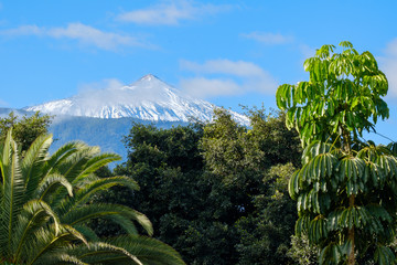 Fototapeta na wymiar Tenerife El Teide National Parc