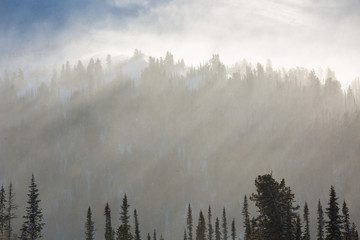 Trees covered with hoarfrost and snow in mountains. The sun's rays illuminate the trees.