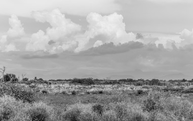 Paisaje rural con nubes de lluvia (blanco y negro)