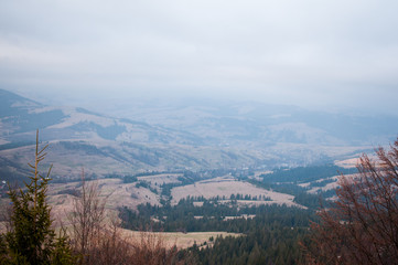 Mountain and forest landscape