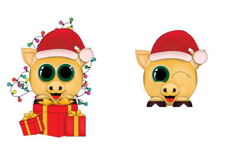 Two New Year pigs on white background with red gift box.