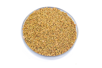 Fenugreek Seeds (Methi Dana)