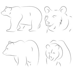 Black line bears on white background. Hand drawn linear sketch. Vector graphic animal.