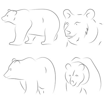 Black line bears on white background. Hand drawn linear sketch. Vector graphic animal.