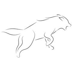 Black line wolf on white background. Hand drawn linear sketch. Vector graphic animal.