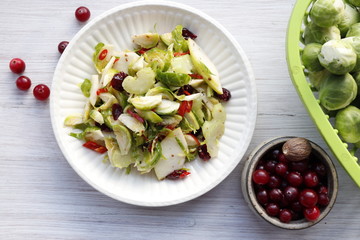 Salad of raw Brussels sprouts, celery, apples and cranberries.