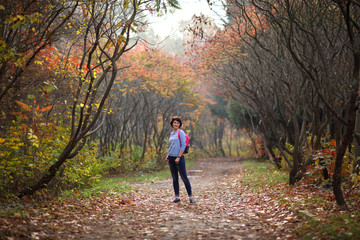 Fototapeta premium Girl in a yellow autumn forest. Beautiful young woman walks along the path of the autumn forest.