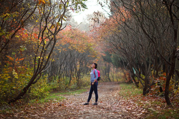 Girl in a yellow autumn forest. Beautiful young woman walks along the path of the autumn forest.