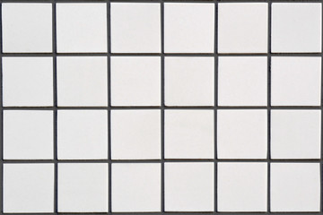 white ceramic tile with 24 squares in rectangular form with black filling