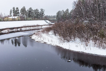 river embankment in the forest under the snow