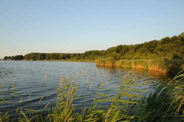 Haffküste bei Ueckermünde