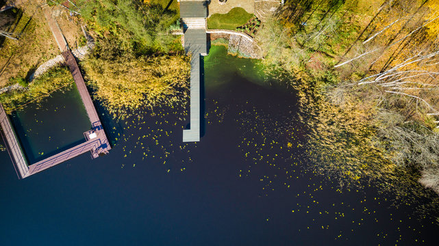 Aerial drone photo of green tree crones growing in lake shore, mixed autumn forest like a design pattern, top down view, countryside with a pier on blue lake