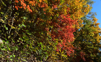 autumn landscape colours