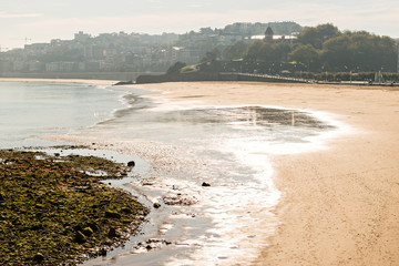 Beach of the conch