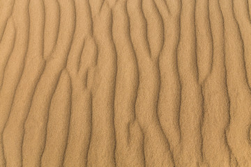 Sand background, sandy waves on windy day on the beach or in desert, natural background
