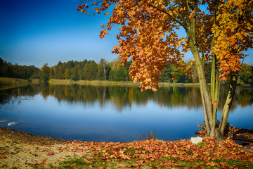 Fototapeta na wymiar Autumn landscape lake poland