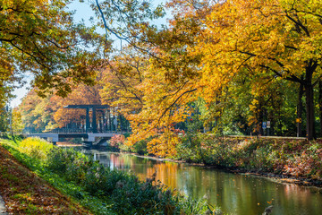 Fototapeta na wymiar Autumn colors along the Apeldoornse channel near Eerbeek in Gelderland, Netherlands