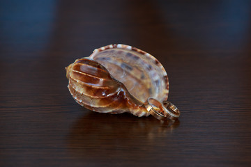 two gold wedding rings on a dark background.  wedding day. wedding ceremony. ceremony of shame. maritime wedding