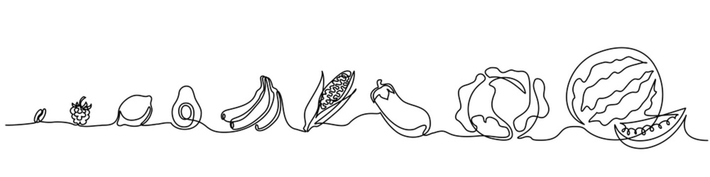 Continuous one line drawing. Vegetables different size from small till big. Vector illustration