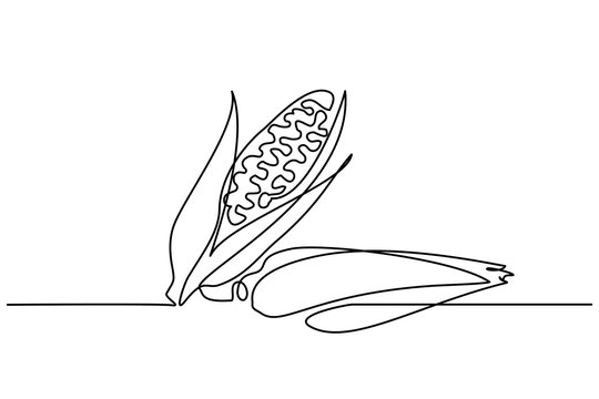 Continuous One Line Drawing. Vegetables Two Corn. Vector Illustration